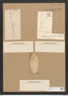 Surirella sp. (de-Toni-Nr.: Genus 53) Zeichnungen Sammlung Grunow Nr. 4843 (NHMW-BOT-W0373012)